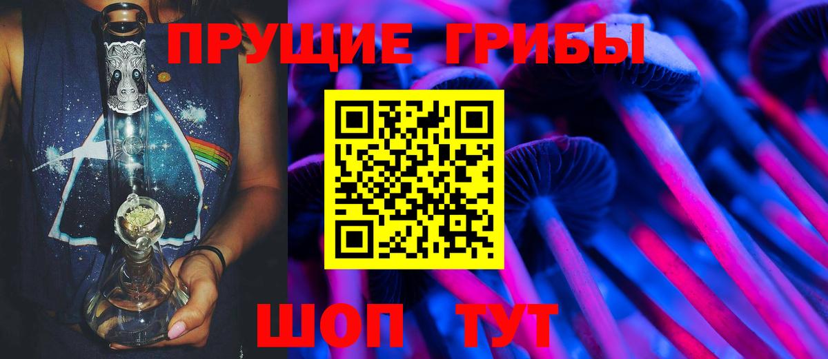 Галлюциногенные грибы Psilocybe  Вход с VPN  Ишимбай 